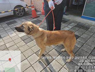 대전동물보호센터_430367202400821